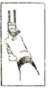 zhengshouwopai